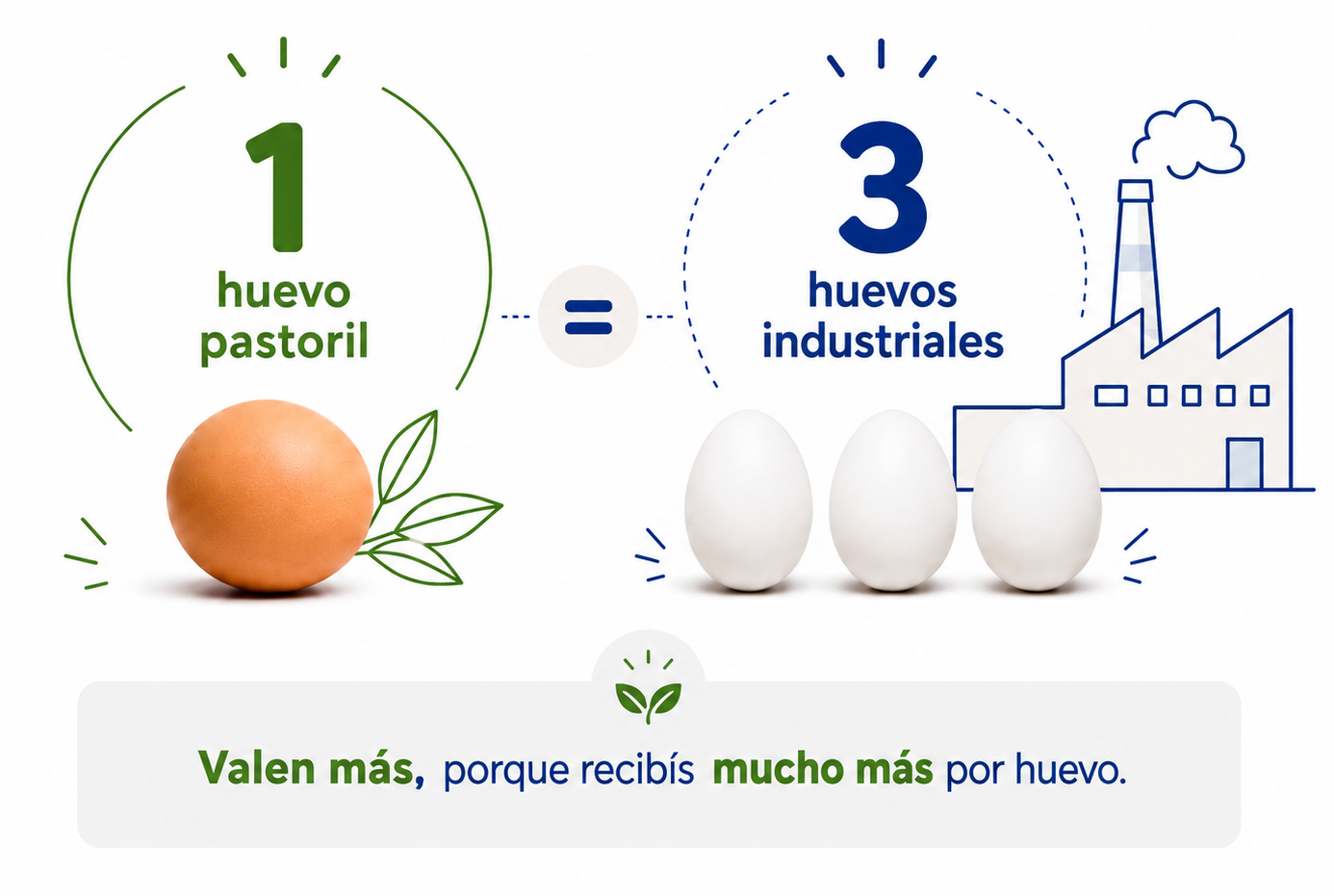 1 huevo pastoril equivale a 3 huevos industriales. Valen más, porque recibís mucho más por huevo.